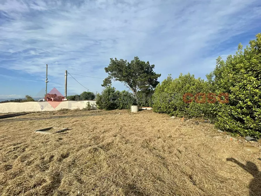 Immagine 3 di Terreno agricolo in vendita  in Strada PROV. S. FELICE CIRCEO, 1 a Terracina