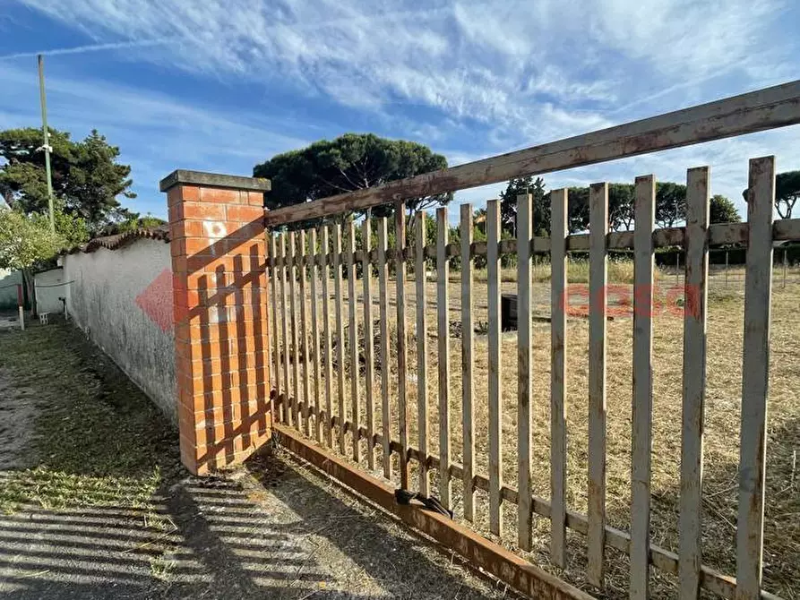 Immagine 12 di Terreno agricolo in vendita  in Strada PROV. S. FELICE CIRCEO, 1 a Terracina
