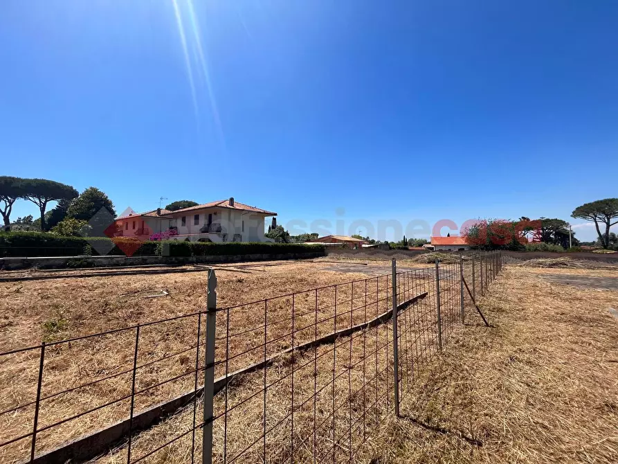 Immagine 17 di Terreno agricolo in vendita  in Strada PROV. S. FELICE CIRCEO, 1 a Terracina