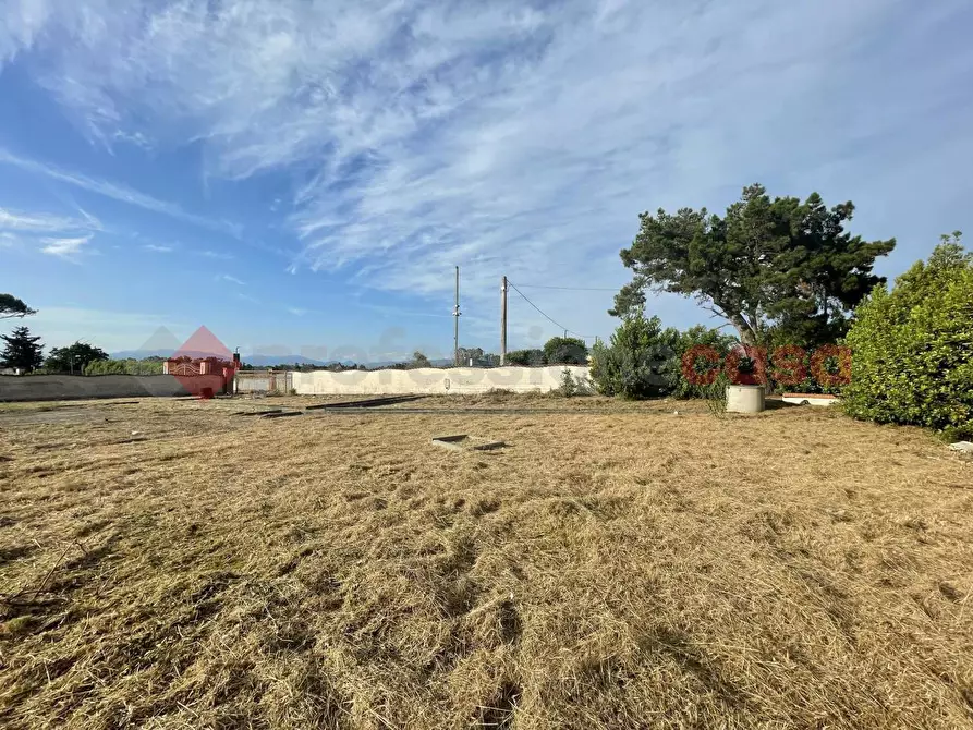 Immagine 5 di Terreno agricolo in vendita  in Strada PROV. S. FELICE CIRCEO, 1 a Terracina