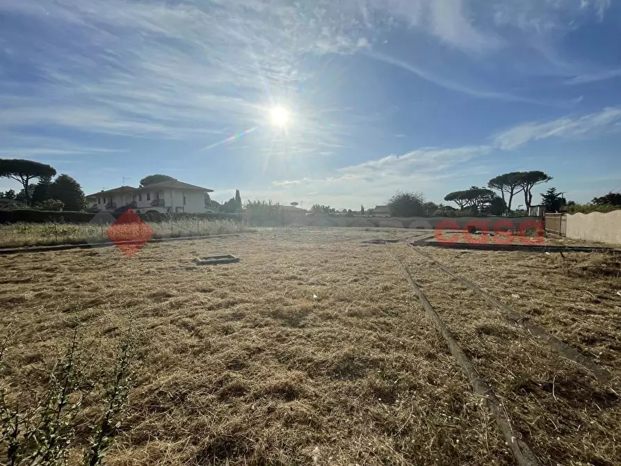 Immagine 2 di Terreno agricolo in vendita  in Strada PROV. S. FELICE CIRCEO, 1 a Terracina