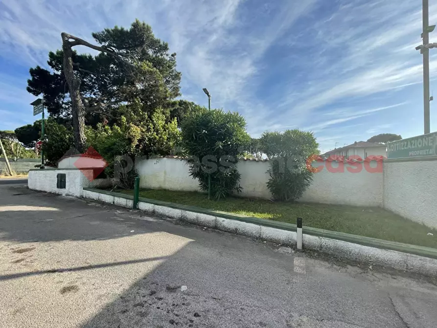 Immagine 19 di Terreno agricolo in vendita  in Strada PROV. S. FELICE CIRCEO, 1 a Terracina