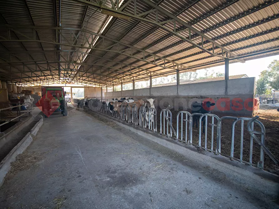 Immagine 38 di Casa indipendente in vendita  in Via PONTE MAGGIORE, 1 a Terracina