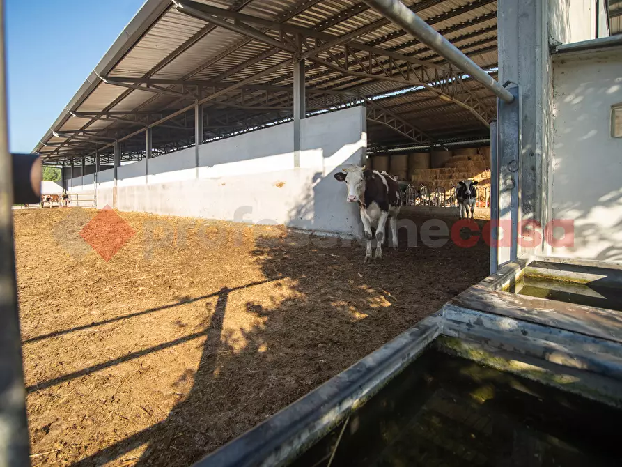 Immagine 29 di Casa indipendente in vendita  in Via PONTE MAGGIORE, 1 a Terracina