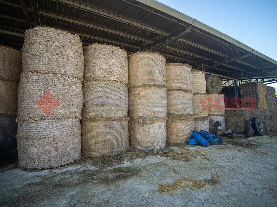 Immagine 36 di Casa indipendente in vendita  in Via PONTE MAGGIORE, 1 a Terracina