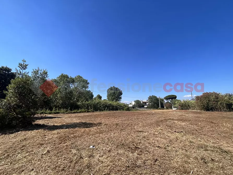 Immagine 6 di Terreno agricolo in vendita  in Via RESIDENCE I PIOPPI, 1 a Terracina