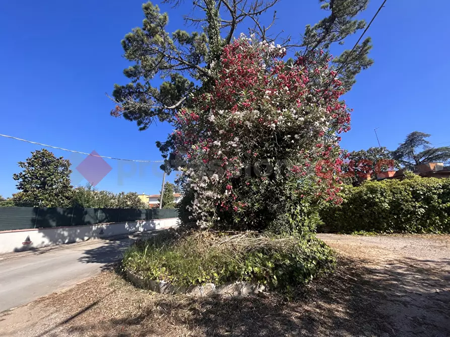 Immagine 14 di Terreno agricolo in vendita  in Via RESIDENCE I PIOPPI, 1 a Terracina