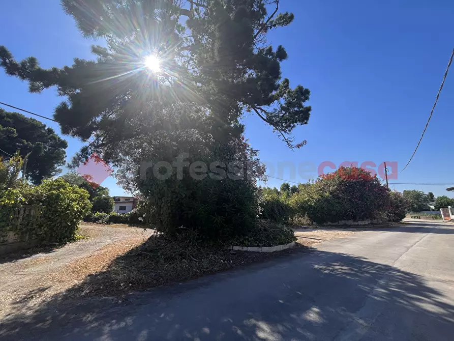 Immagine 13 di Terreno agricolo in vendita  in Via RESIDENCE I PIOPPI, 1 a Terracina