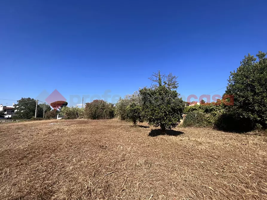 Immagine 5 di Terreno agricolo in vendita  in Via RESIDENCE I PIOPPI, 1 a Terracina