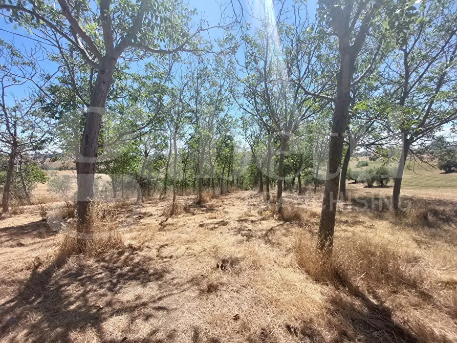 Immagine 10 di Appartamento in vendita  in Via Santa Maria, snc a Mosciano Sant'angelo