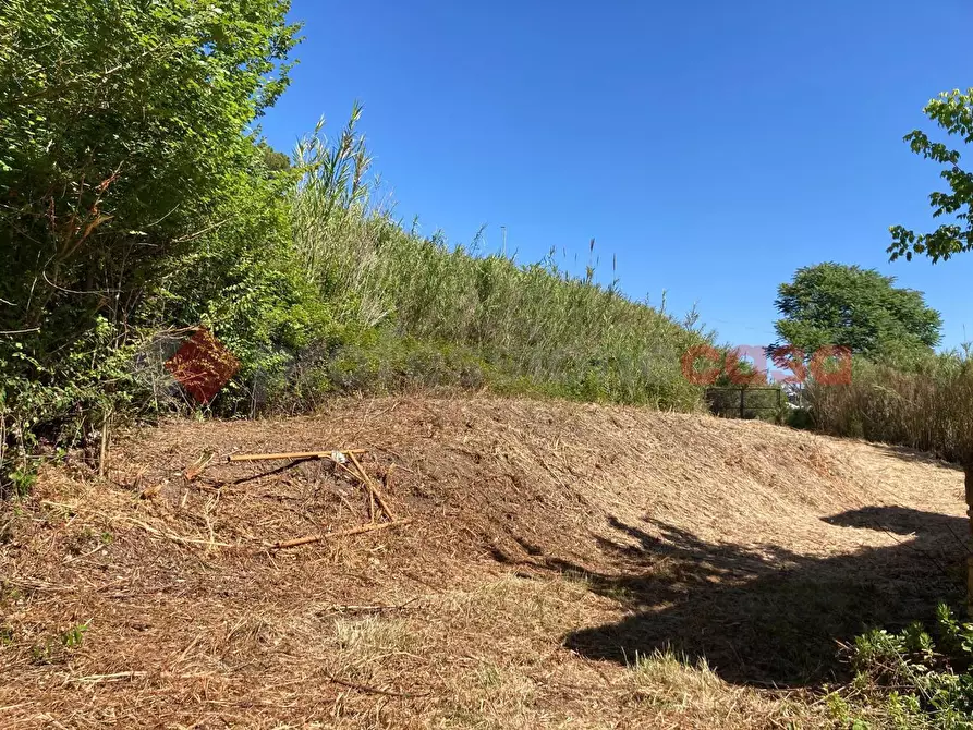 Immagine 11 di Rustico / casale in vendita  in Vicolo papa leone, snc a Roma