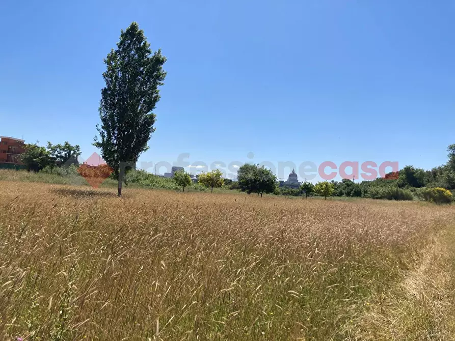 Immagine 9 di Rustico / casale in vendita  in Vicolo papa leone, snc a Roma