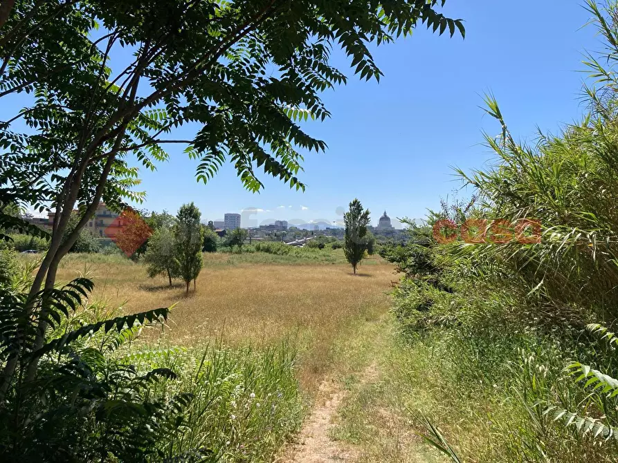 Immagine 7 di Rustico / casale in vendita  in Vicolo papa leone, snc a Roma