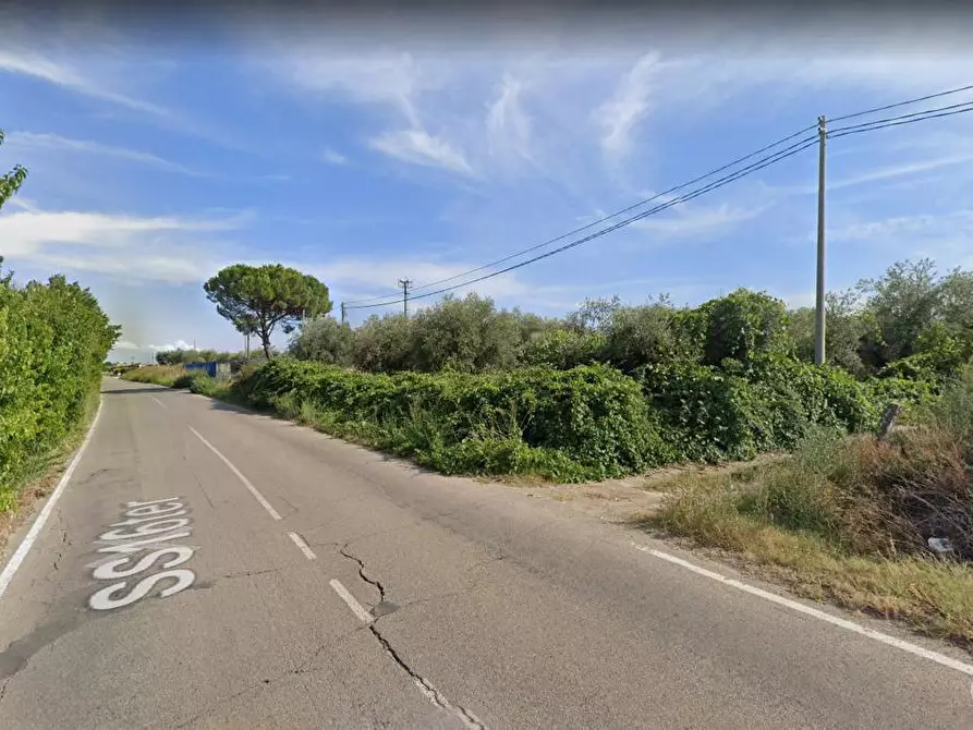 Immagine 1 di Terreno agricolo in vendita  in Via MORANDI a San Severo