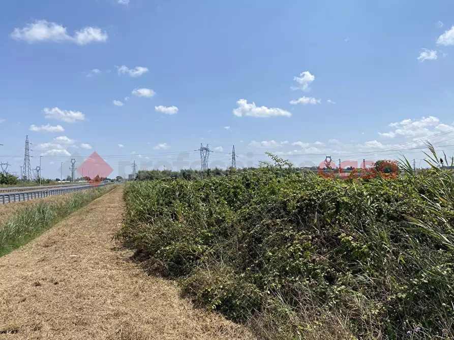 Immagine 1 di Terreno residenziale in vendita  in Strada Provinciale 555 delle Colline a Collesalvetti