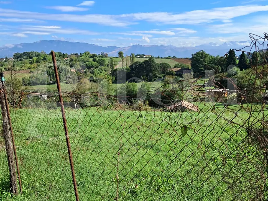 Immagine 1 di Terreno residenziale in vendita  in Via Carpinetana, SNC a Segni