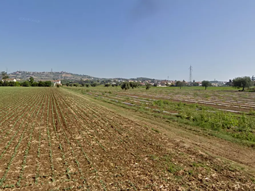 Immagine 1 di Terreno agricolo in vendita  in LocalitÃ  Palazzese a Roseto Degli Abruzzi