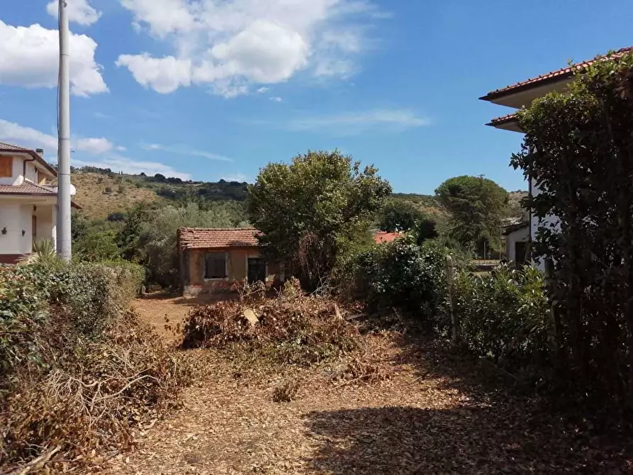 Immagine 3 di Terreno agricolo in vendita  in Via Colli III Tratto, 5 a Sezze