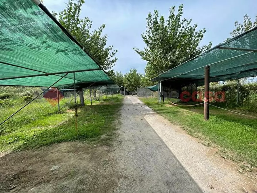 Immagine 31 di Villa in vendita  in Via SALETTE, 34 a Sperlonga