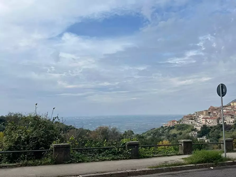 Immagine 3 di Negozio in vendita  in Via Piagge Marine, 103 a Sezze