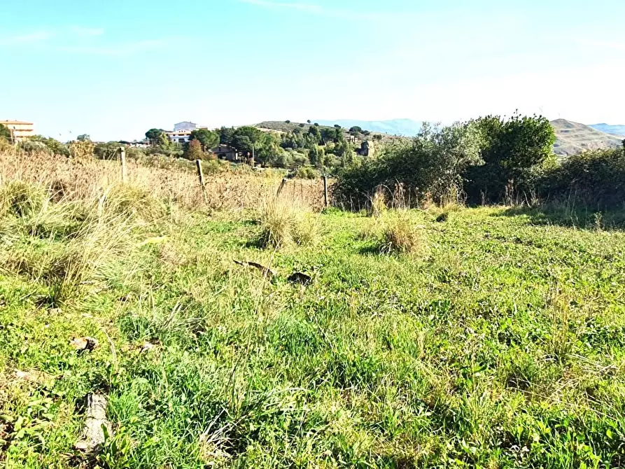 Immagine 1 di Terreno agricolo in vendita  in Contrada Monticchio Sottano a Godrano