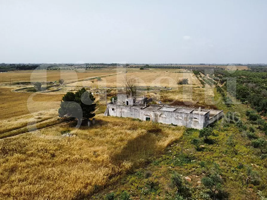 Immagine 1 di Villa in vendita  in Strada Provinciale 101, 1 a Campi Salentina