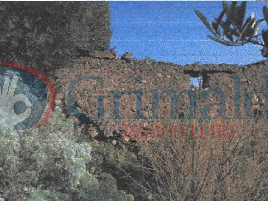 Immagine 8 di Rustico / casale in vendita  in LocalitÃ  Policastro a Santa Marina Salina