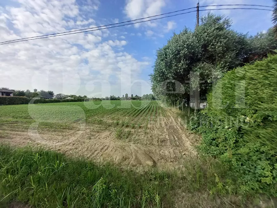 casa indipendente in vendita a Campodarsego in zona Fiumicello