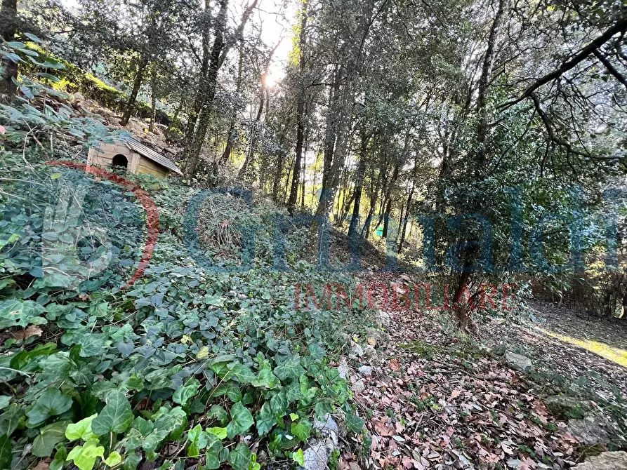 Immagine 40 di Villa in vendita  in Via del bosco a Corciano