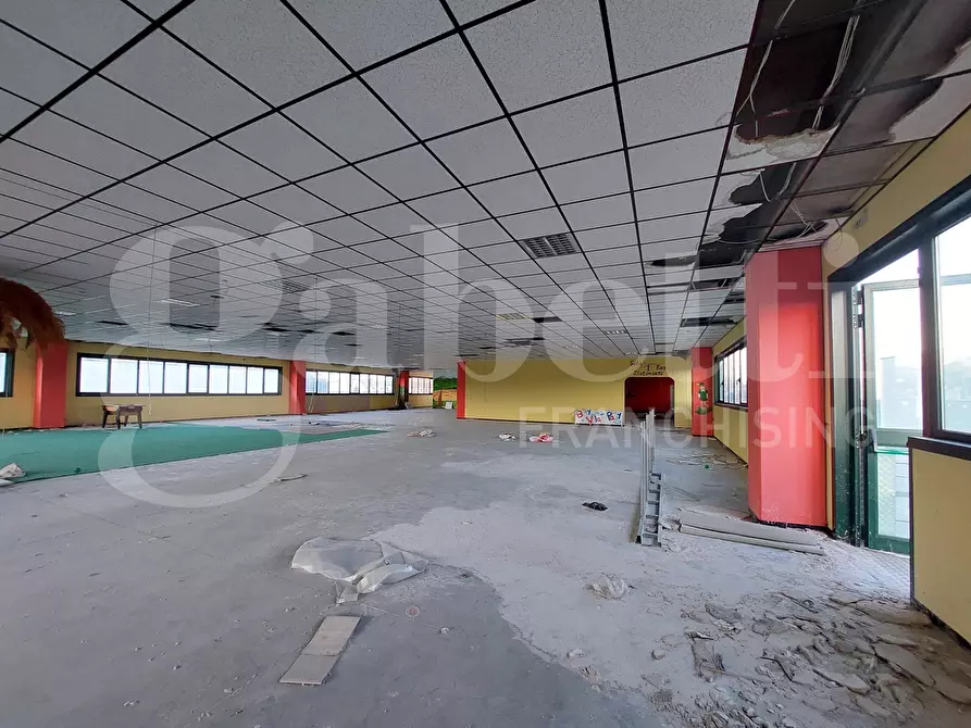 Immagine 3 di Capannone industriale in vendita  in Via Certosa, snc a Nereto