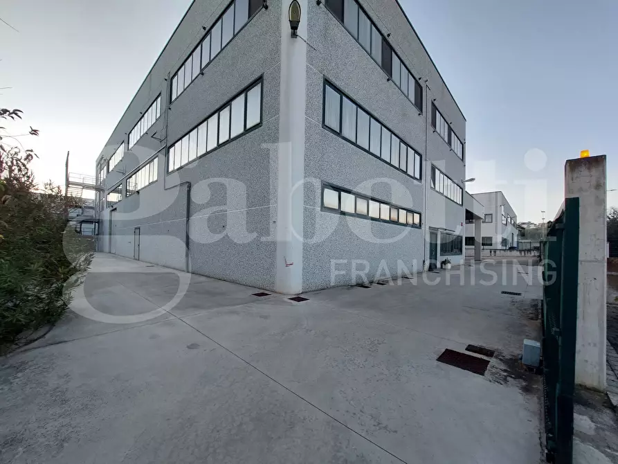 Immagine 13 di Capannone industriale in vendita  in Via Certosa, snc a Nereto
