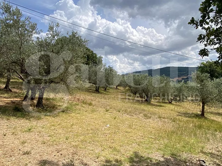 Immagine 45 di Casa indipendente in vendita  in Via TURRITA, 10 a Assisi