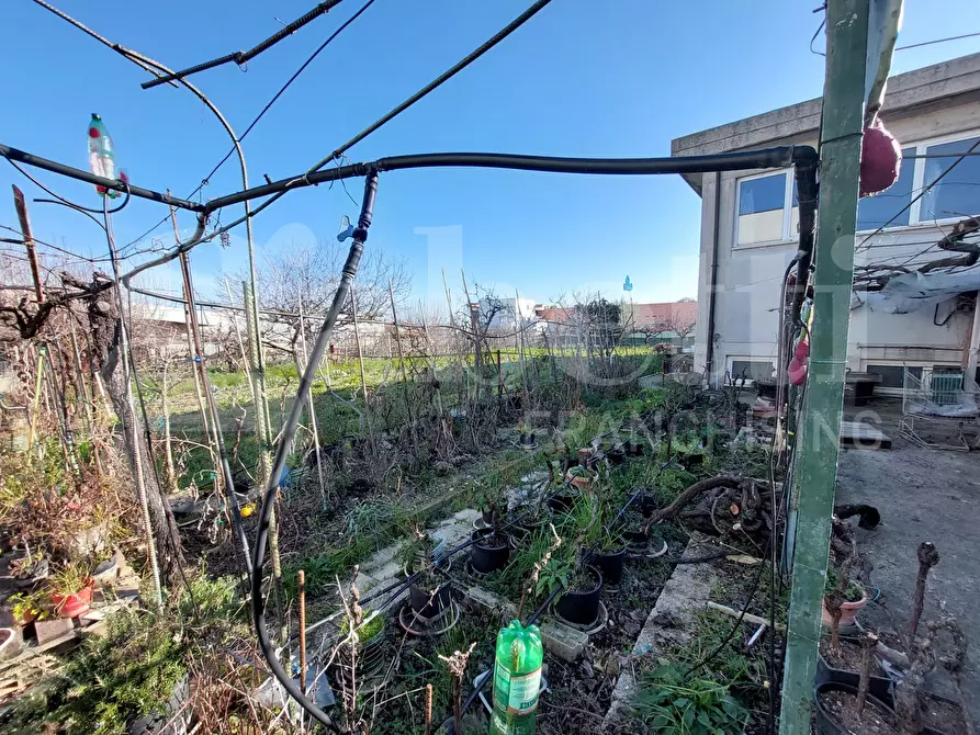Immagine 5 di Capannone industriale in vendita  in Via Magellano, 4 a Sant'omero