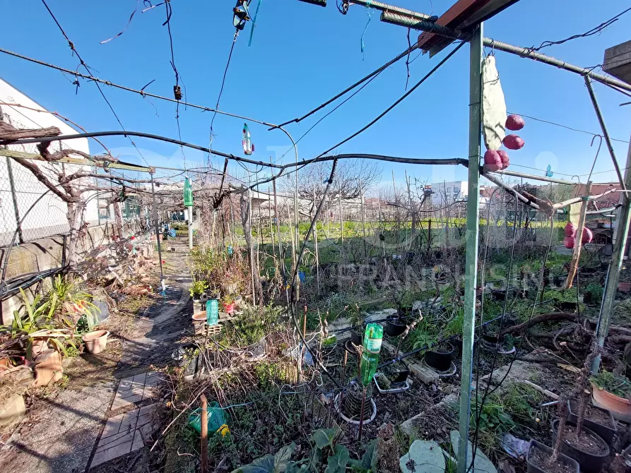 Immagine 3 di Capannone industriale in vendita  in Via Magellano, 4 a Sant'omero