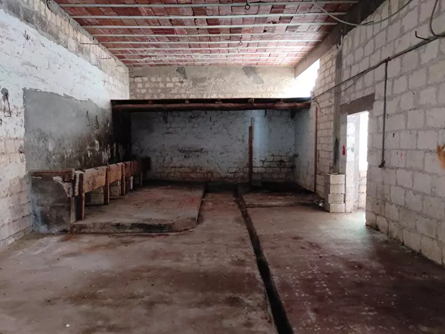 Immagine 11 di Casa indipendente in vendita  in Via MASACCIO a San Severo