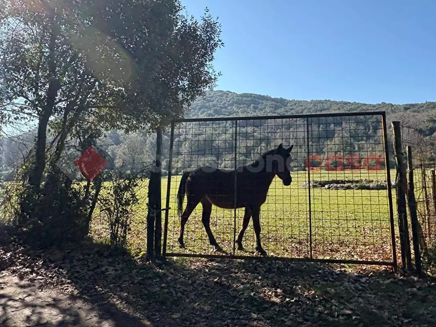 Immagine 34 di Casa indipendente in vendita  in Via CAMPOSORIANO, 1 a Terracina