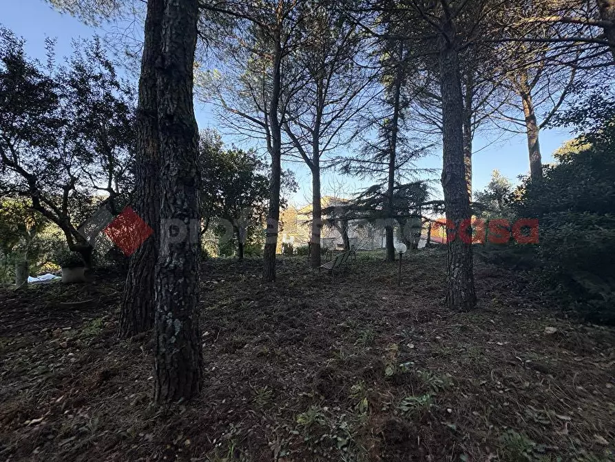 Immagine 28 di Casa indipendente in vendita  in Via CAMPOSORIANO, 1 a Terracina