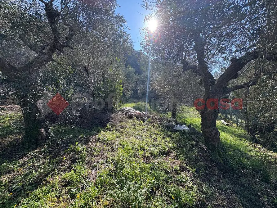 Immagine 33 di Casa indipendente in vendita  in Via CAMPOSORIANO, 1 a Terracina