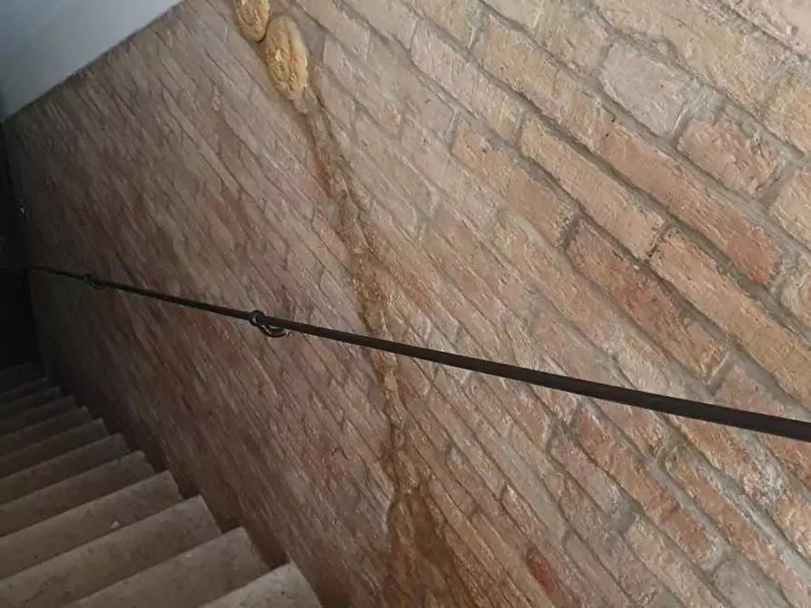 Immagine 9 di Casa indipendente in vendita  in Via CARCERI VECCHIE a San Severo