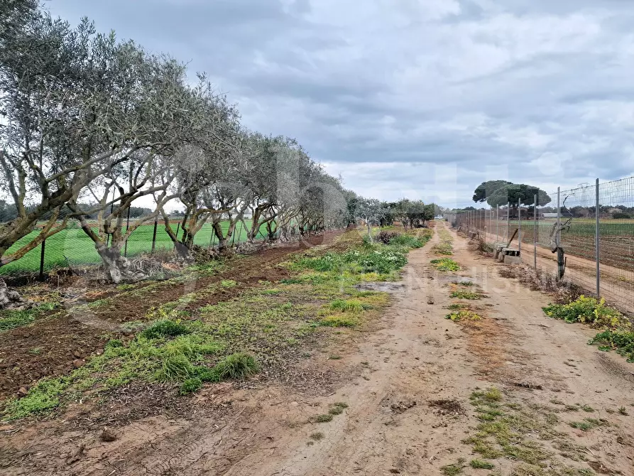 Immagine 8 di Terreno residenziale in vendita  in Via ss131, snc a Sestu
