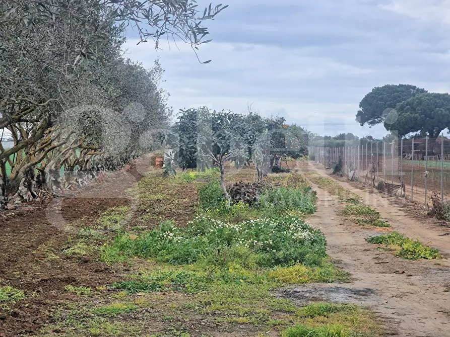 Immagine 7 di Terreno residenziale in vendita  in Via ss131, snc a Sestu