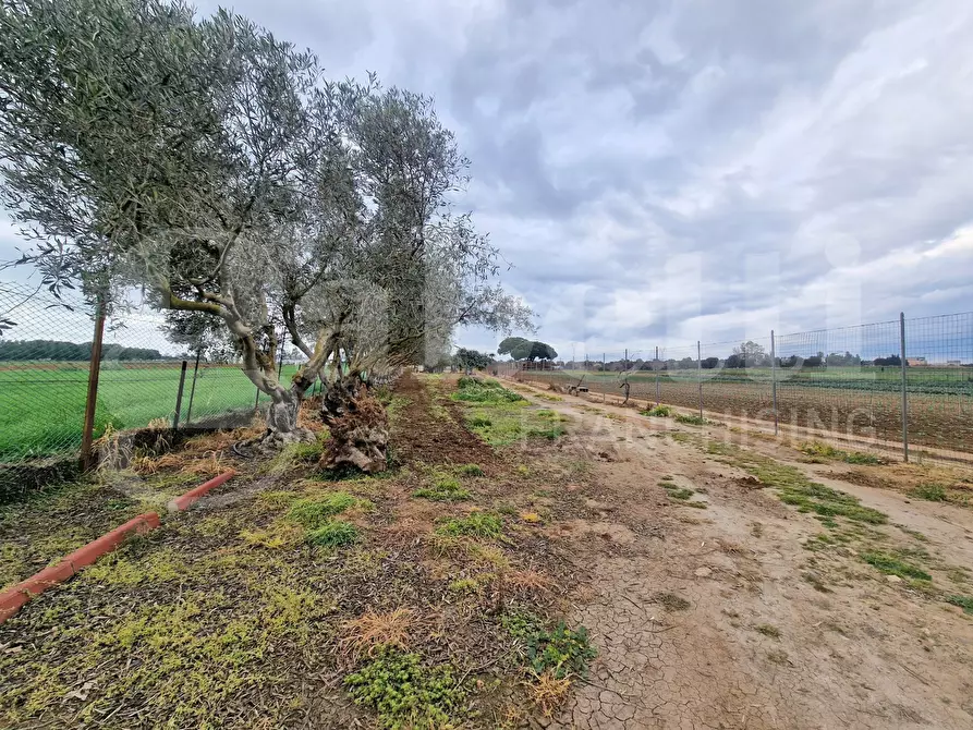 Immagine 5 di Terreno residenziale in vendita  in Via ss131, snc a Sestu