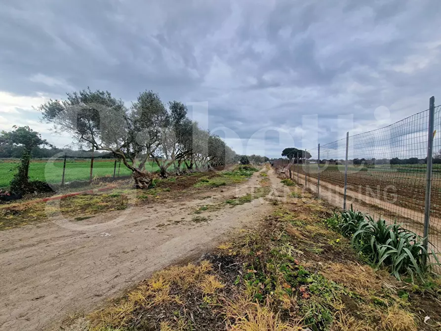 Immagine 6 di Terreno residenziale in vendita  in Via ss131, snc a Sestu