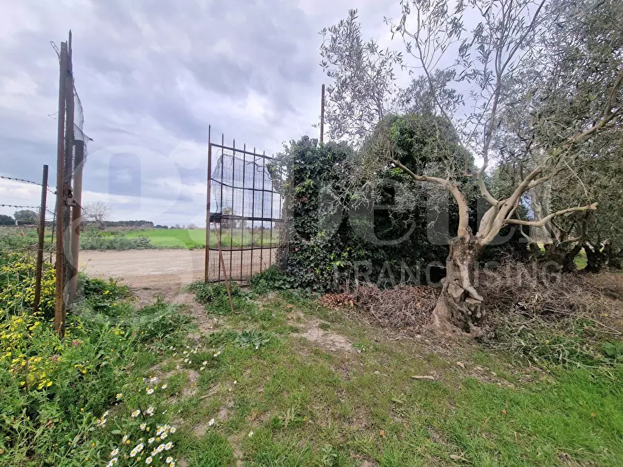 Immagine 4 di Terreno residenziale in vendita  in Via ss131, snc a Sestu