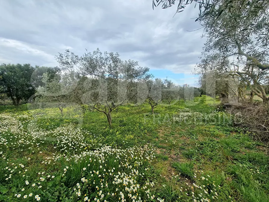 Immagine 6 di Terreno residenziale in vendita  in Via ss131, snc a Sestu