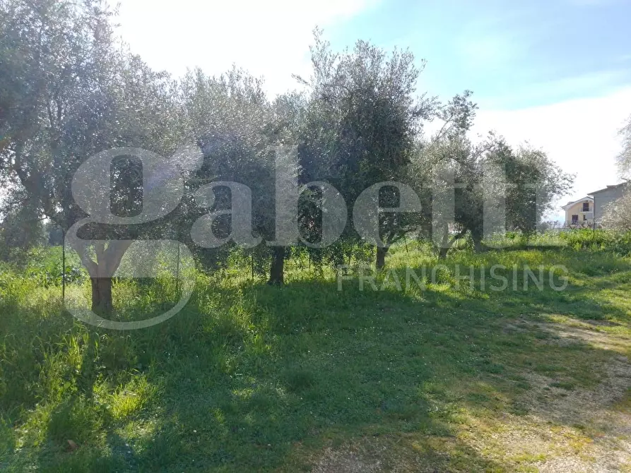 Immagine 23 di Casa quadrifamiliare in vendita  in Viale Piane di San Donato, 32 a Corropoli