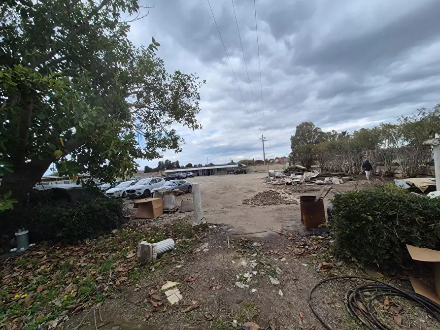 Immagine 25 di Terreno agricolo in vendita  in Via elorina, snc a Siracusa
