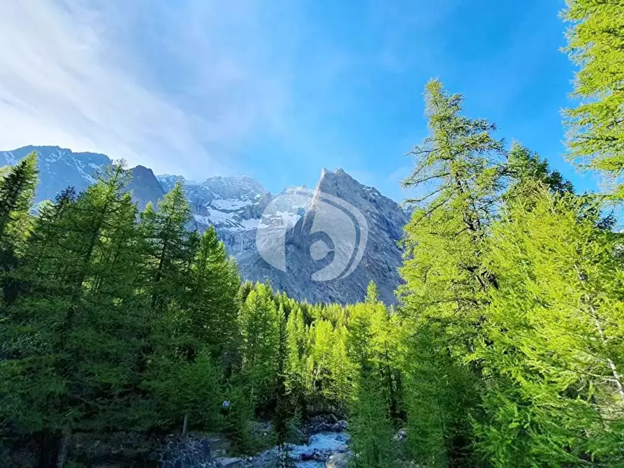 Immagine 21 di Appartamento in vendita  in Via Regionale, 35 a Courmayeur