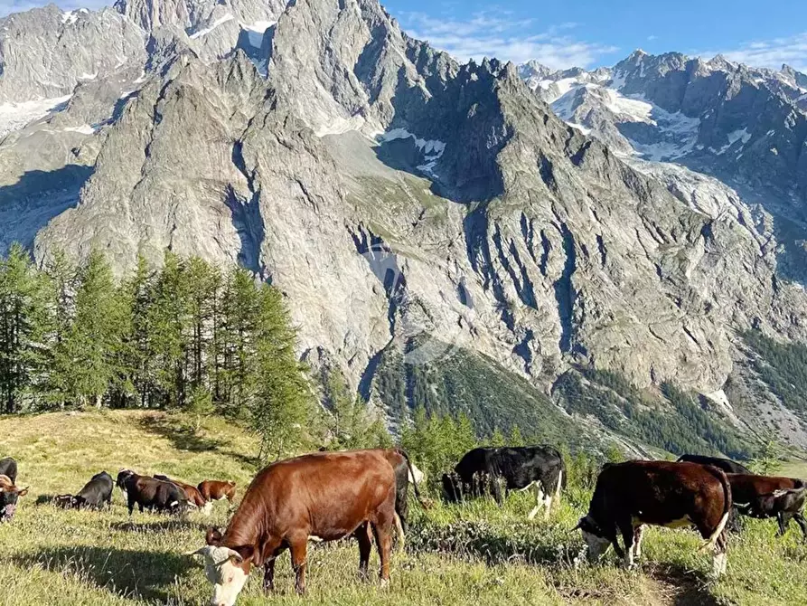 Immagine 24 di Appartamento in vendita  in Via Regionale, 35 a Courmayeur