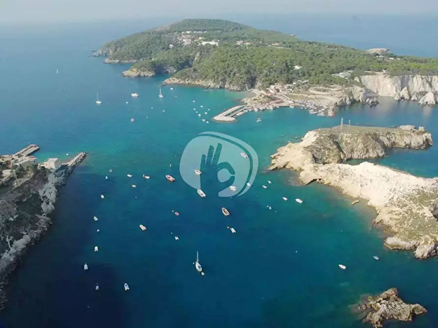Immagine 26 di Appartamento in vendita  in LocalitÃ  San Domino, s.n. a Isole Tremiti